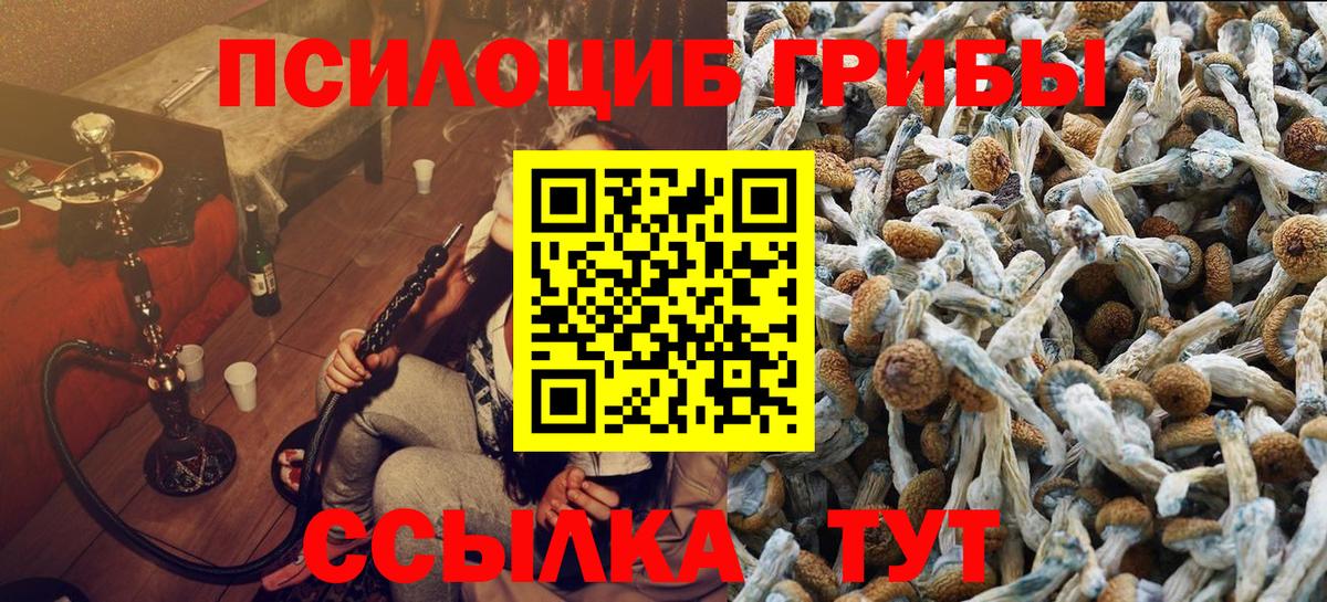 Горно-Алтайск  магазин    Вход с VPN  Галлюциногенные грибы ЛСД 