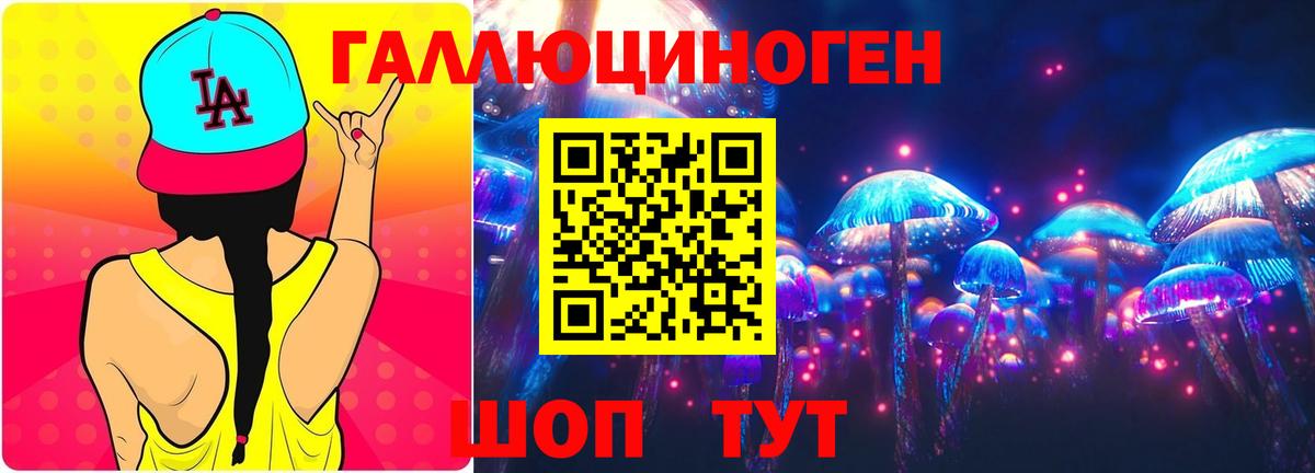 Галлюциногенные грибы Psilocybine cubensis Горно-Алтайск